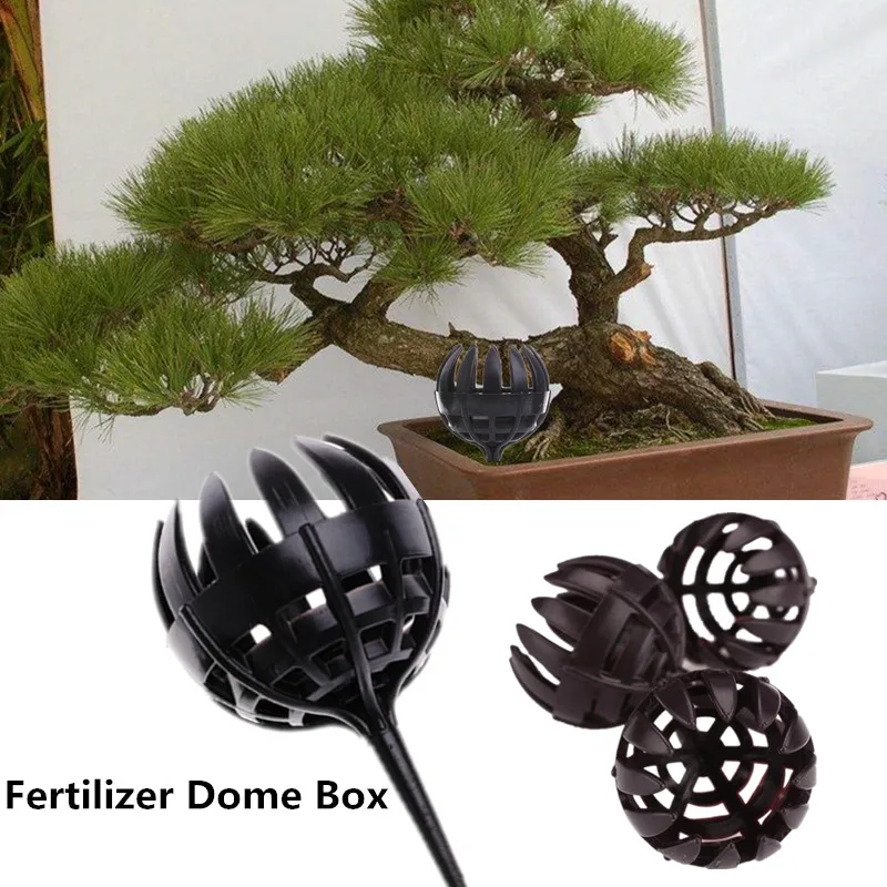 

2 Size Office Fertilizer Dome Case Portable Coffee Green Plastic Box Bonsai Tool Gardon Supplies