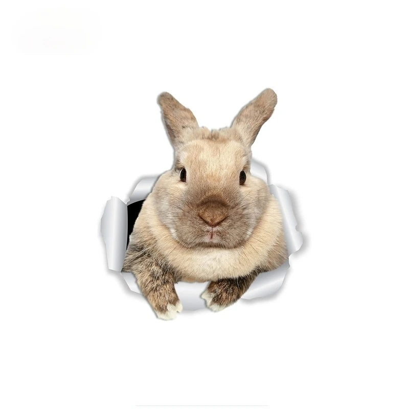 Наклейка на унитаз в виде кролика 12 х12 см | Автомобили и мотоциклы