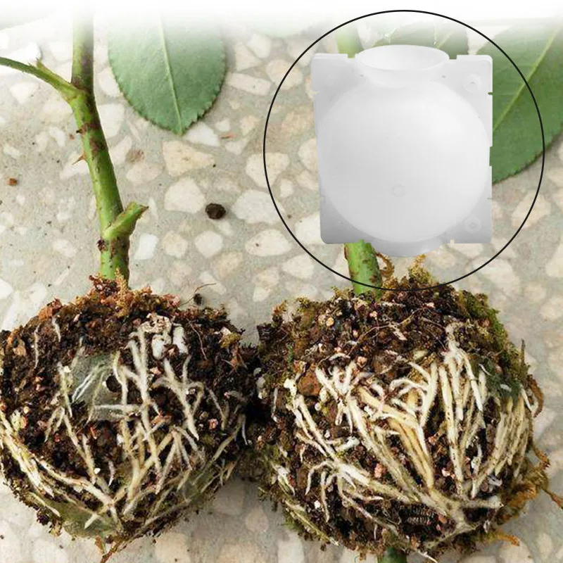 

3/5pcs 3-31cm Plant Rooting Ball Grafting Rooting Growing Box Breeding Case High Pressure Propagation Box for Garden