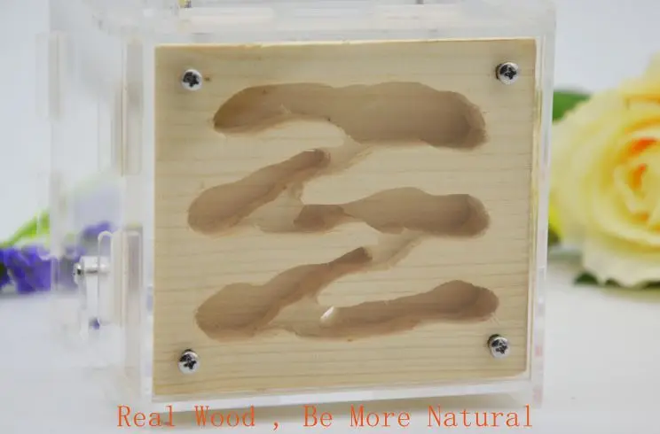 Деревянная муравьиная ферма Муравьиное Гнездо дом для живых муравьев с зоной