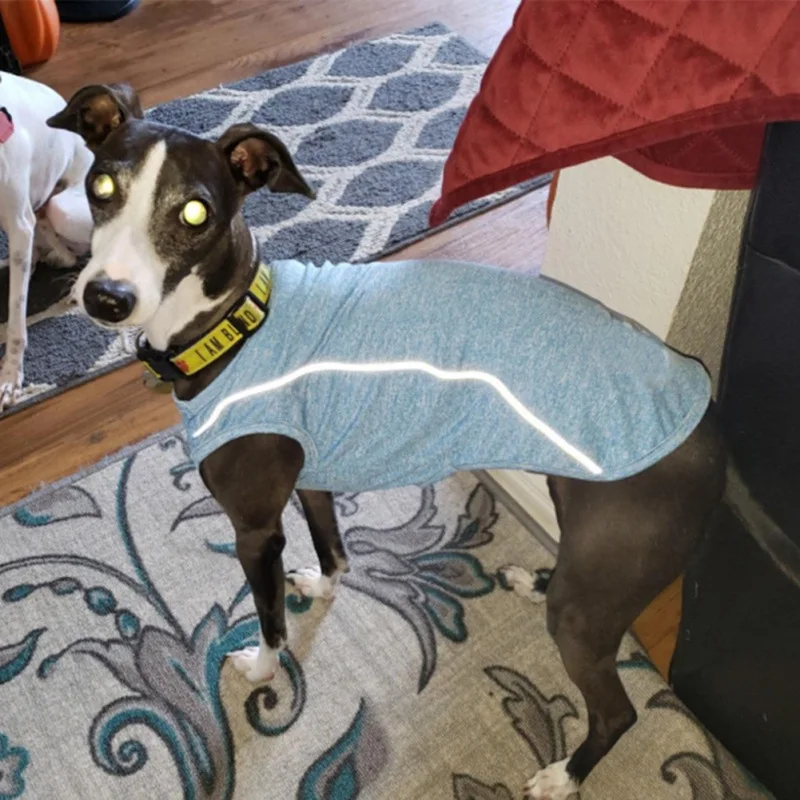 

Pet Dog Sweater Vest with Reflective Strip Quick Dry Soft Breathable Cat Dog Shirt Lightweight Tank Top Sleeveless Vest Apparel