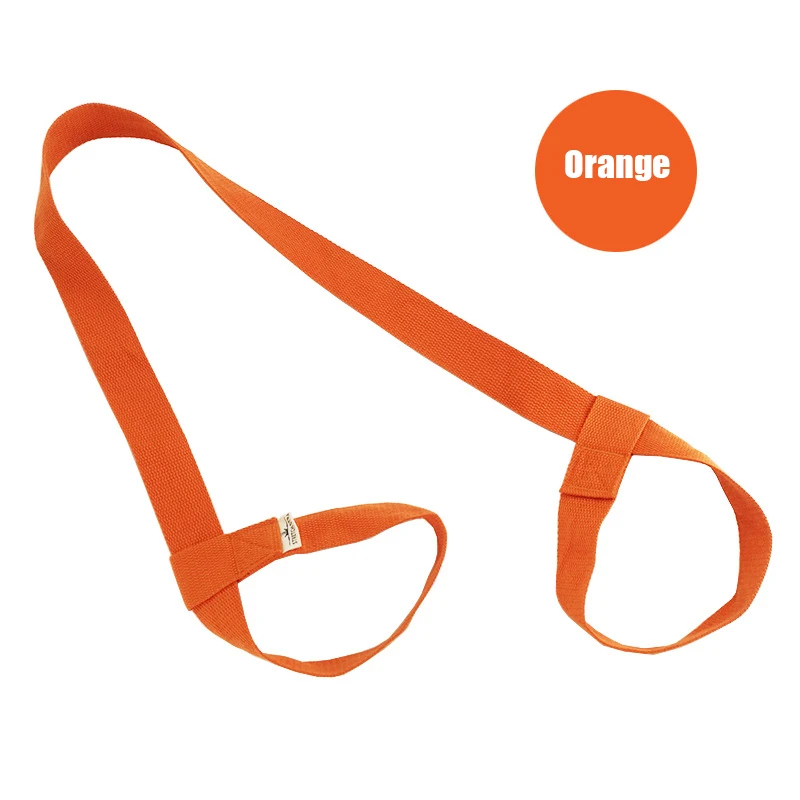 

Fitness & Body Building