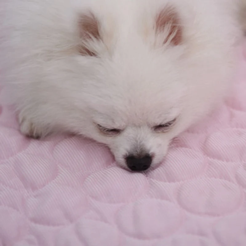 Новинка летняя подстилка для собак коврик льда 50x40 см большие размеры