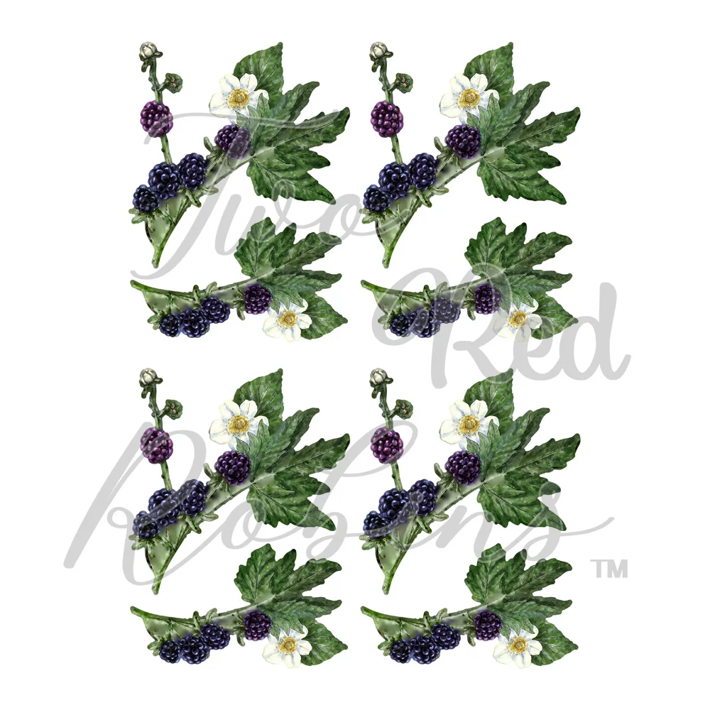 Новинка 2021 фотоальбом в виде дикой шипы металлические режущие штампы фоторамка