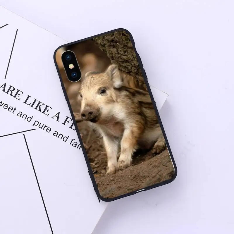 

wild boar Phone Case for iPhone 11 12 pro XS MAX 8 7 6 6S Plus X 5S SE 2020 XR