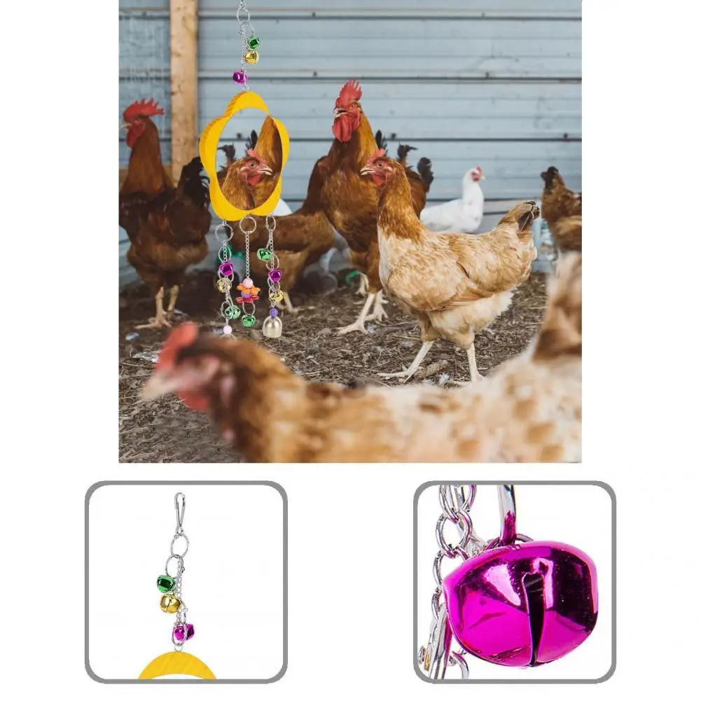 

Bird Toy Creative Chicken Toy Swing Toys Training Playing Sturdy Parrot Wooden Hanging Mirror