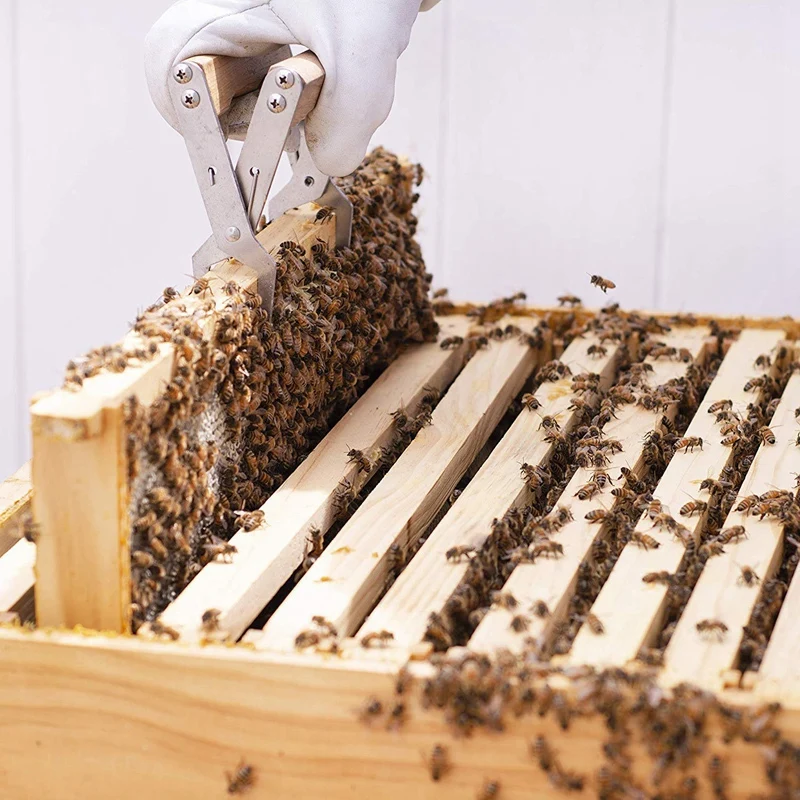 

Beekeeping Honey Tool Kit Beekeeping Starter Kit Set of 9 Beekeeping Equipment Supplies