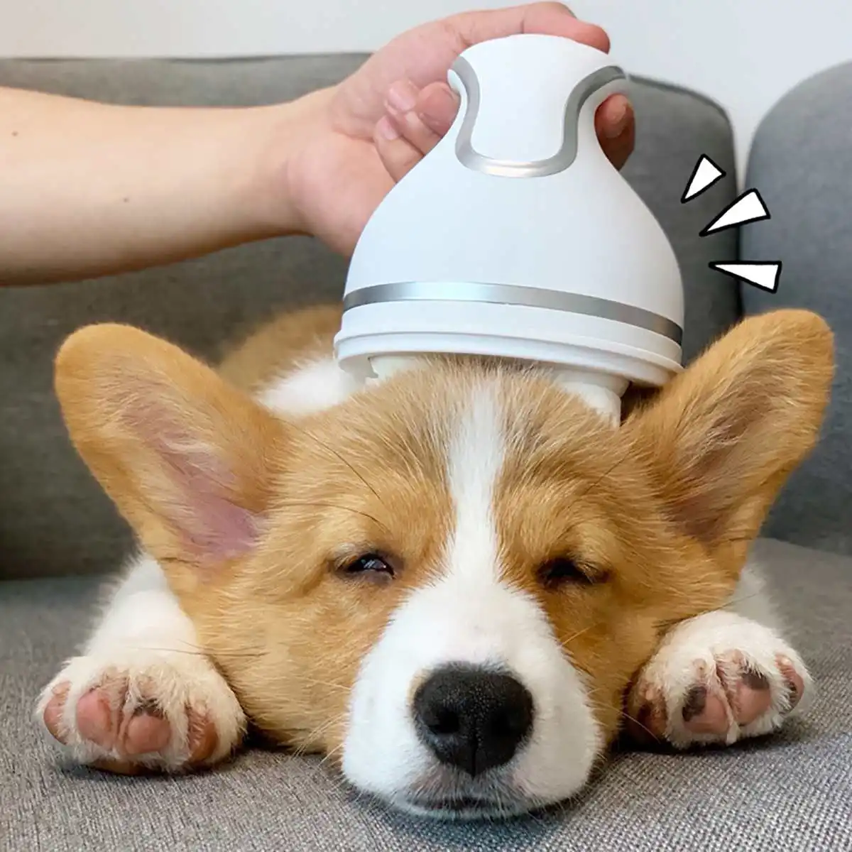 

Automatic Cat Dog Pet Scraper Massage Comb Device Electric Electronic Scalp Head Body Massager Brush For Cats Dogs Animals