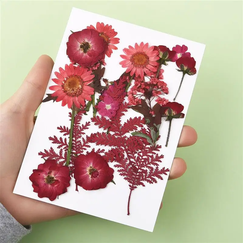 1 сумка настоящие сухие цветы растения для лампы в форме свечи эпоксидная смола