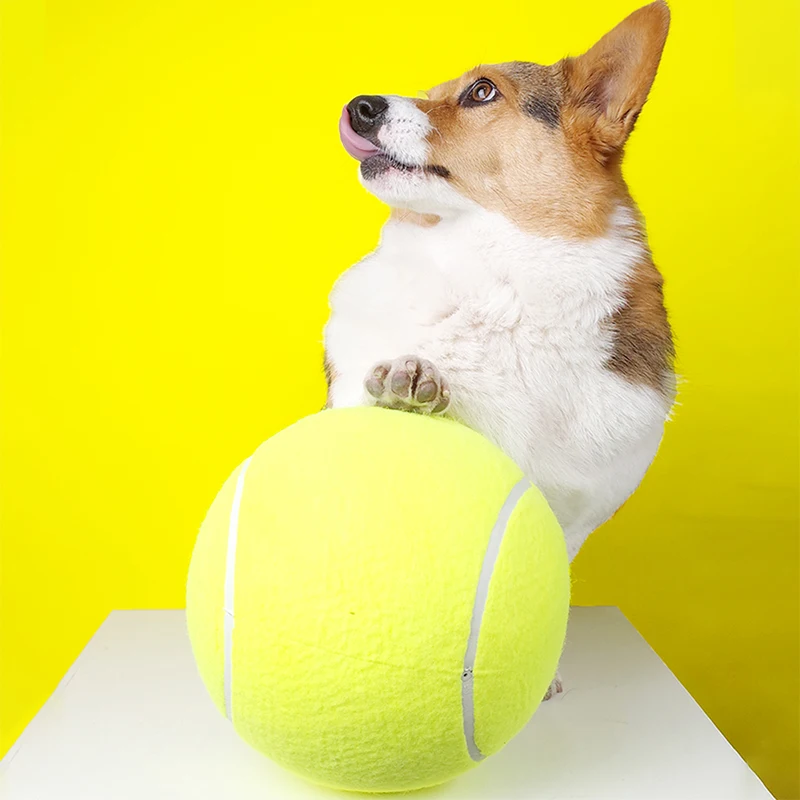 

Diamete 24cm New Product Funny Practical Pet Cat Dog Inflatable Tennis Ball Play Toys Large Cats Pet Chew Dogs Products For Toy