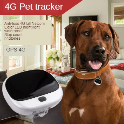 4G gps трекер для домашних животных RF V43 устройство отслеживания в реальном времени