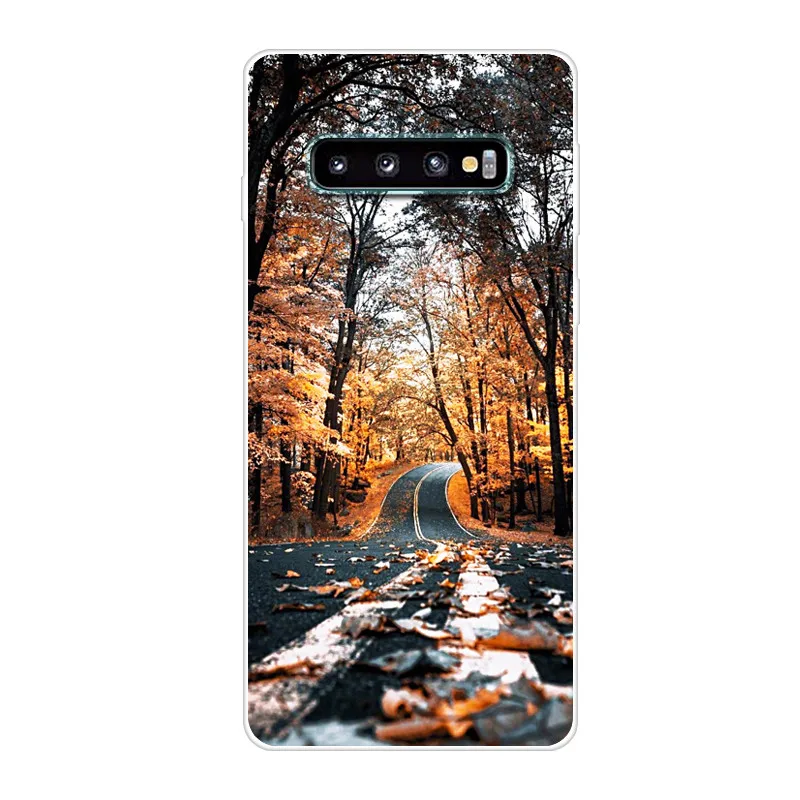 Для samsung Galaxy S10 Plus чехол s 10 Lite S10E E мягкая задняя крышка из ТПУ для Galaxy S10 S10Plus силиконовый чехол для телефона s Coque S10Lite - Цвет: A43