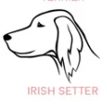 IRISH-SETTER Собака портрет Персонализированные Имя ожерелье Собака ювелирные изделия любимое животное подарок для мамы собаки породы ожерелье PN305 - Окраска металла: IRISH-SETTER
