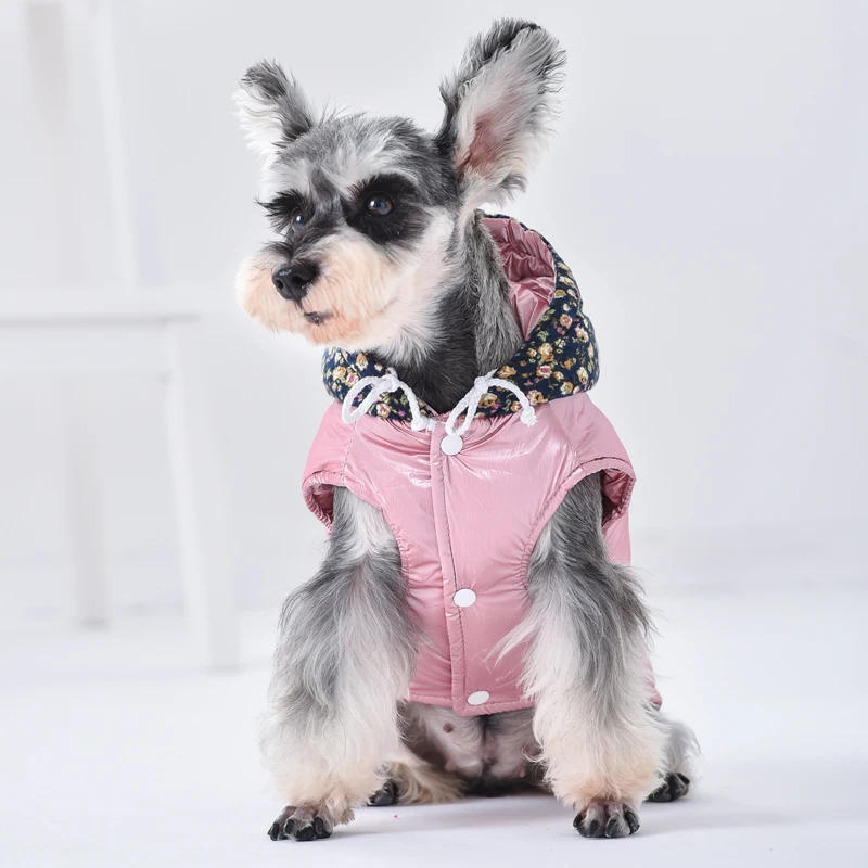 Куртка для французского бульдога яркая зимняя толстовка с капюшоном терьера