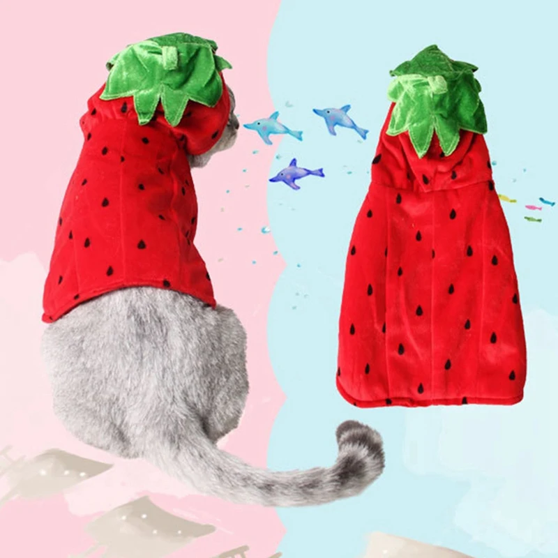 Одежда с котом для костюмированной вечеринки на Хэллоуин Милая Красная