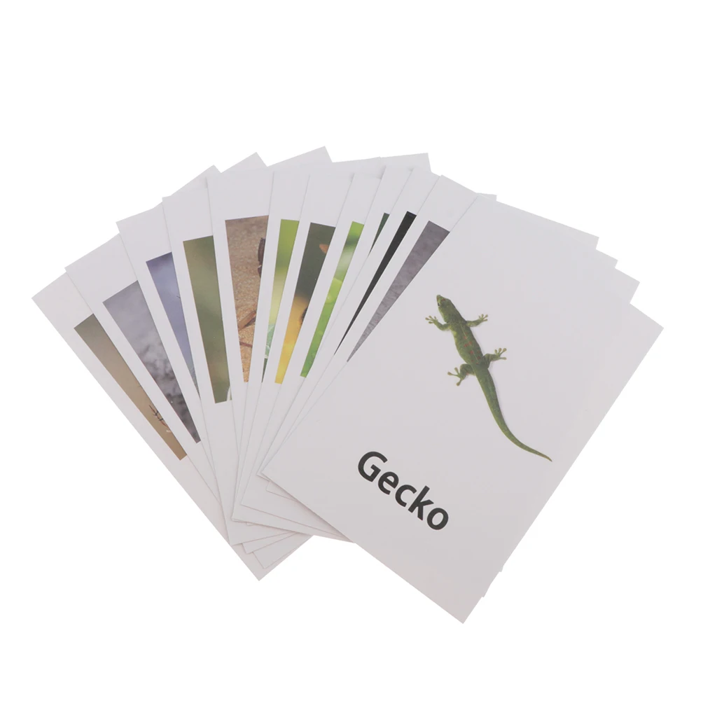 

12x Montessori Insects and Animals Figure Match Set, Matching Puzzle Game