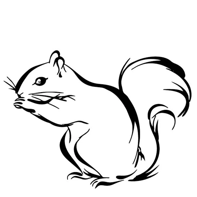 Красивые красивые декоративные наклейки на багажник белки автомобильные