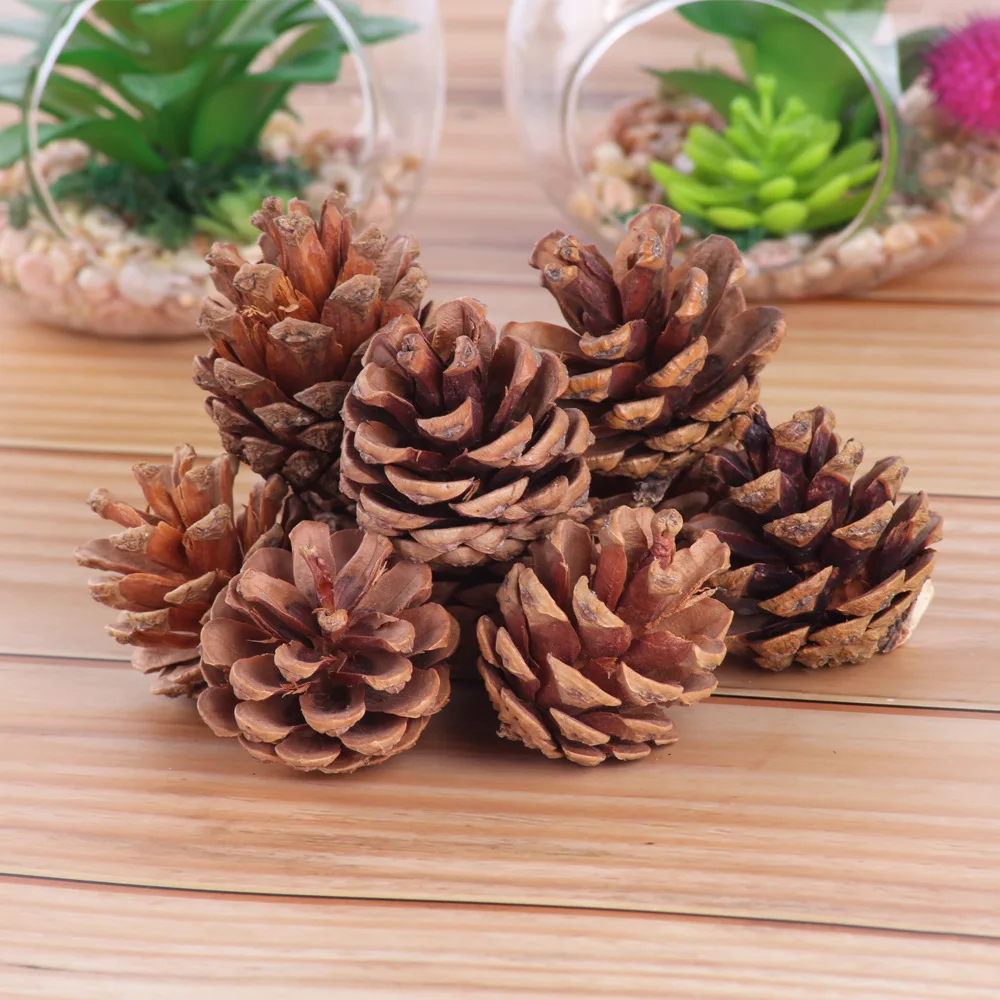 10 шт. натуральные сосновые конусы Pinecone для рождественской елки Декоративная