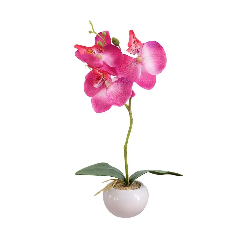 

Moth Orchid Plastic Artificial Flower Fake Plant Beautiful Fashion Gift Decoration Garden Home Decor Simulation Flower Ornament