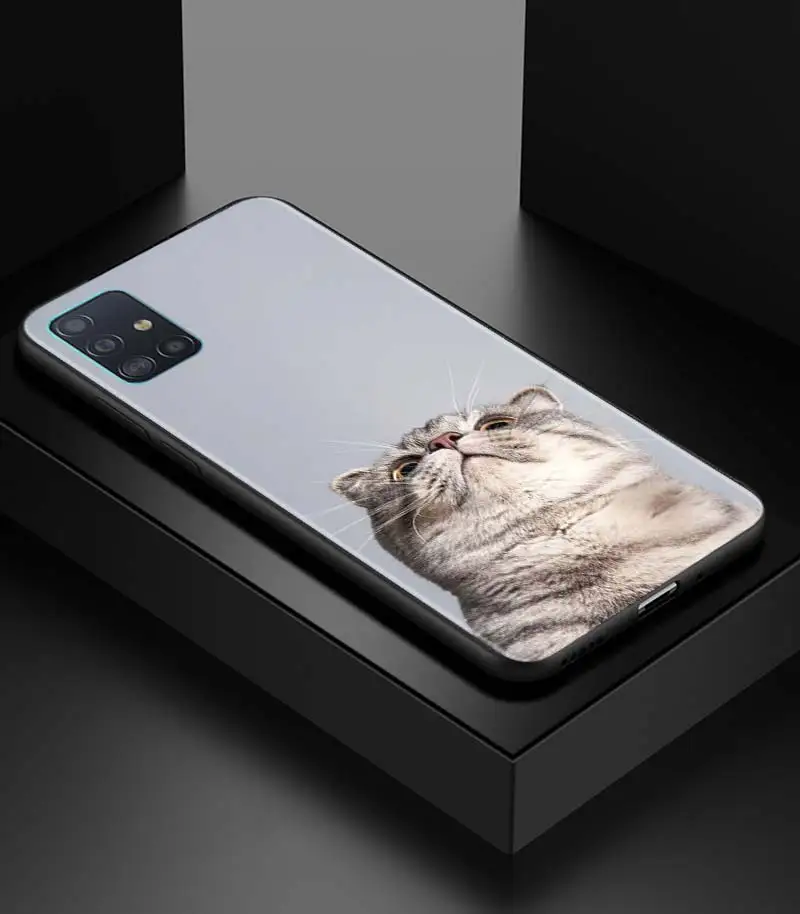 

Leather Cat Phone Case for Samsung Galaxy A51 A71 A21s A31 A41 M30s A11 M51 A42 5G A91 A01 A21 Black Soft TPU Cover Shell