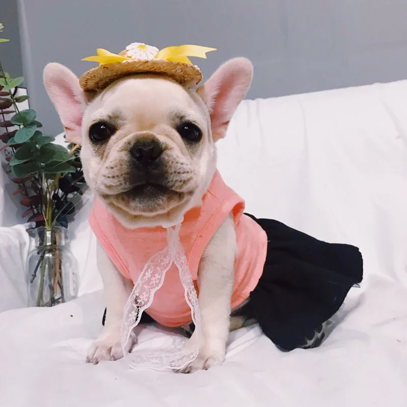Розовое платье для собаки корсет винтажная одежда собак длинные платья