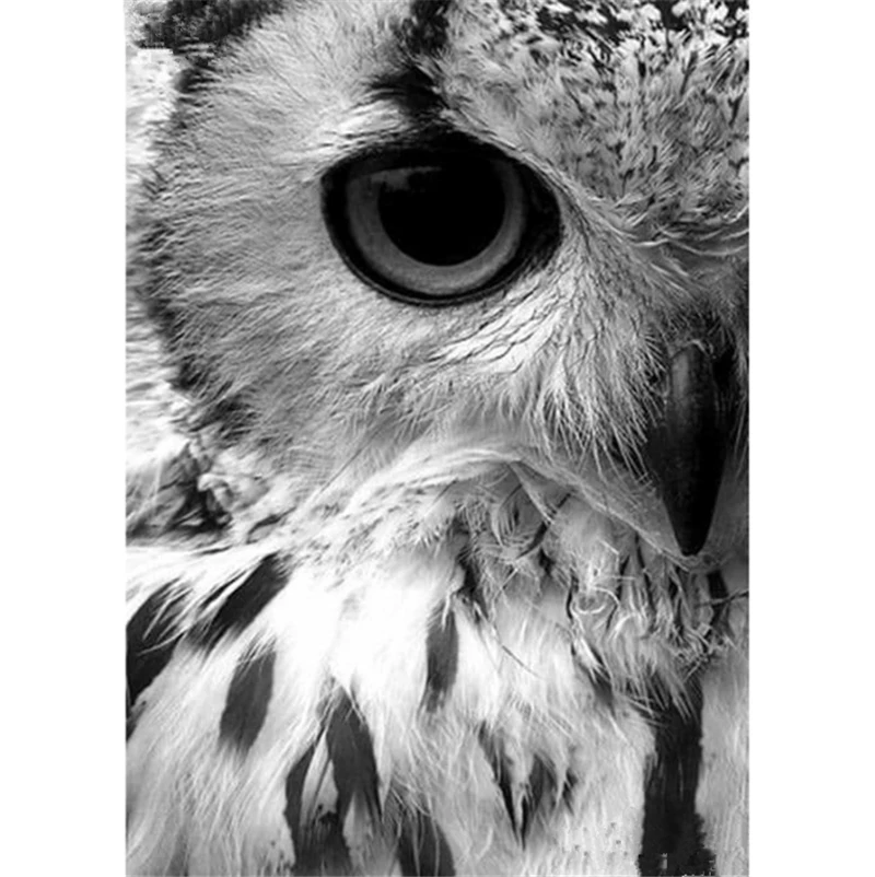 Алмазная 5D картина Сова глаз полноразмерная/круглая вышивка крестиком декор