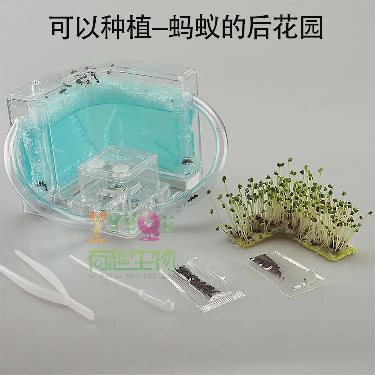 Муравьиная ферма акриловая тестовая трубка для насекомых большая влажность