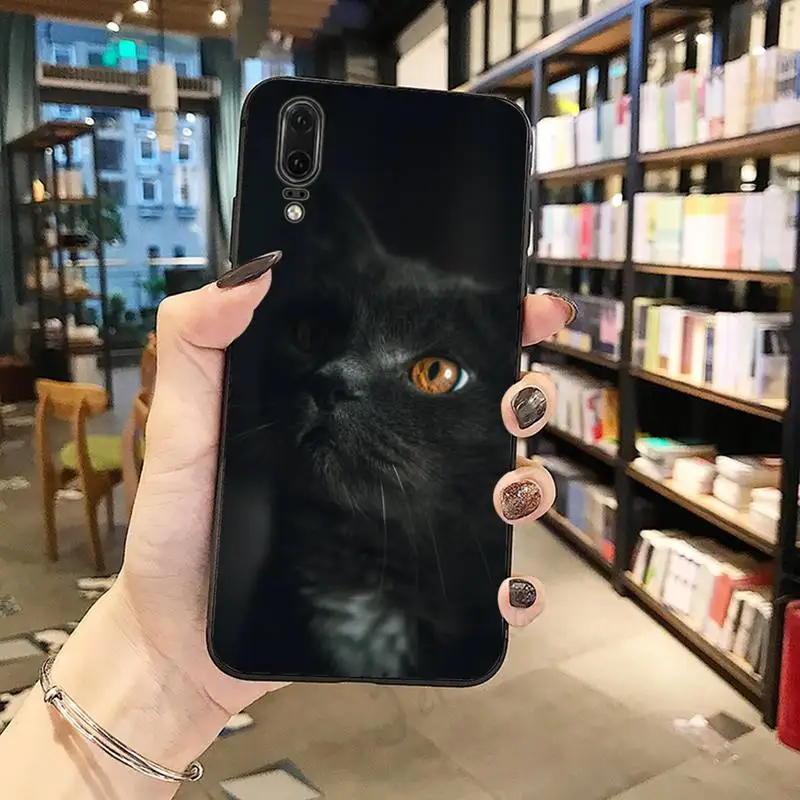 

Black Cat Staring Eye On animal Phone Case For Huawei honor Mate P 10 20 30 40 Pro 10i 9 10 20 8 x Lite