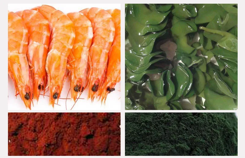 Маленькая еда для рыбы мини-бит базовая маленькая мини-фонарик мелких частиц |