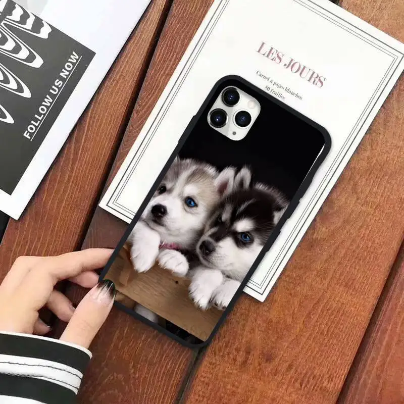 

Husky cute dog lovely animal Phone Case for iPhone 11 12 pro XS MAX 8 7 6 6S Plus X 5S SE 2020 XR