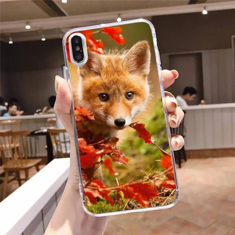 

cute animal fox Phone Case Transparent soft For iphone 5 5s 5c se 6 6s 7 8 11 12 plus mini x xs xr pro max