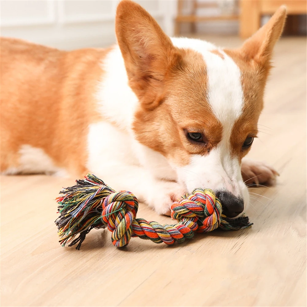 

Dog Bite Rope Toy Puppy Chew Clean Teeth Cotton Rope Knot Toys Durable Braided Bone Ropes Pet Molar Biting Toys Random Color