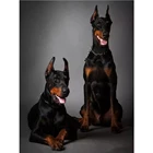 Алмазная 5D живопись сделай сам, квадратная круглая картина сделай сам с изображением собаки, добермена, яркая Алмазная вышивка, животное, крестик, декоративный подарок