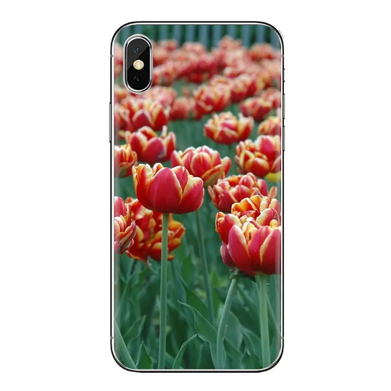 Прозрачный чехол из термополиуретана сладкий цветок тюльпана для huawei G7 G8 P7 P8 P9 Lite