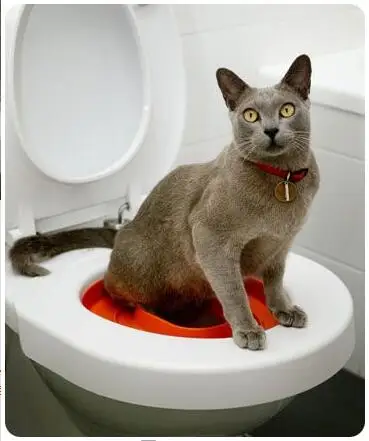 Профессиональная кошка обучение сиденье для унитаза Pet Box Kit поезд любовь чистые кошки использовать унитаз для людей легко узнать туалет коробка подарок