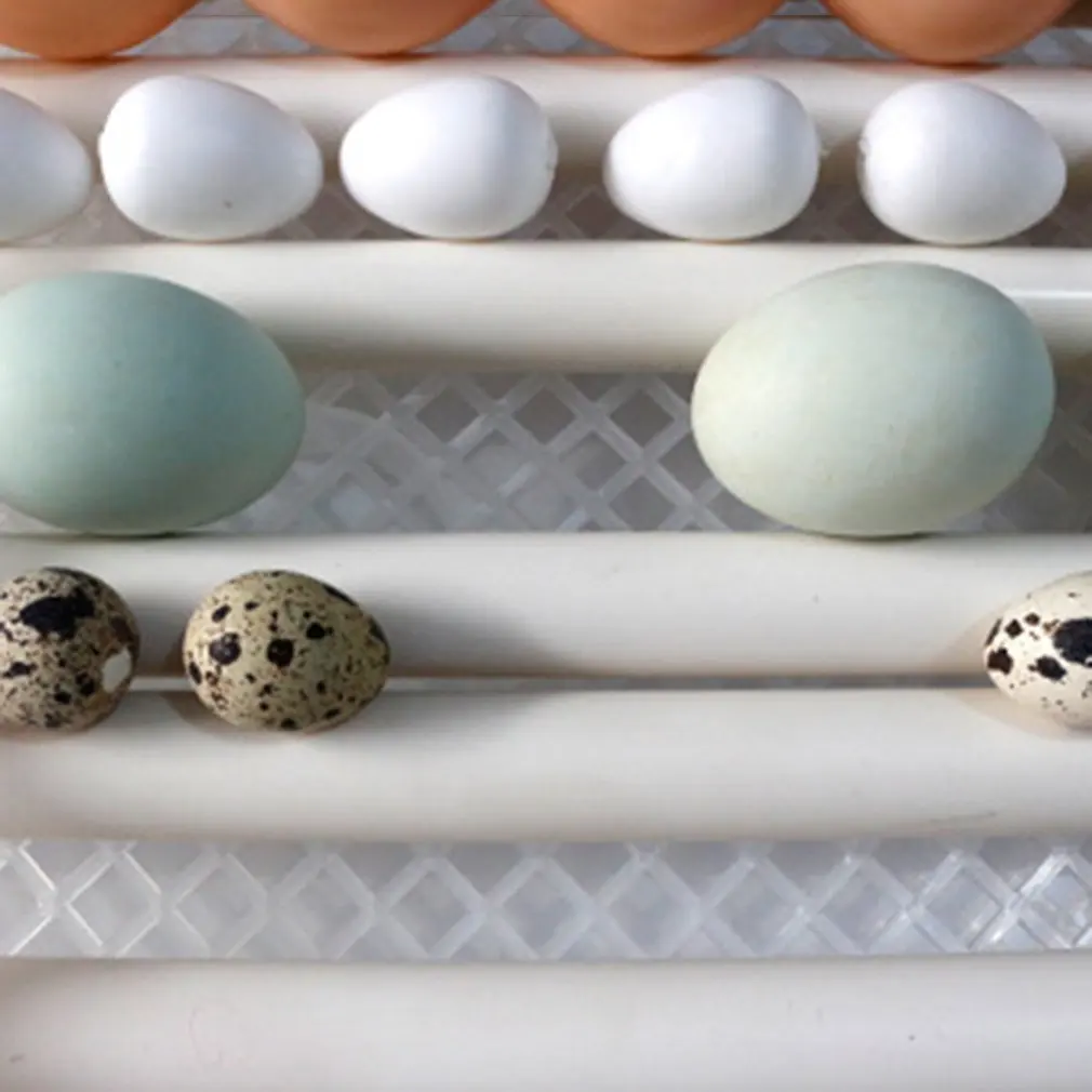 

Poultry Hatchery Machine Hatching Eggs 16 Mini Brooder Small Chicken Bird Egg Incubator Hatchers for Quail Parrot Duck Pigeon