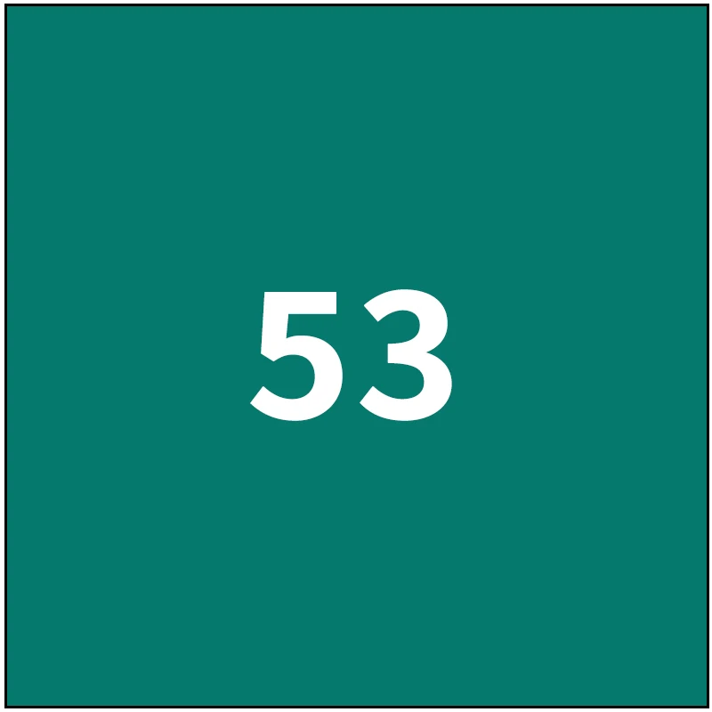 black-53 TOUCHNEW, одноцветные маркеры, двойная кисть, маркеры, маслянистые, на спиртовой основе, эскизные маркеры для рисования, манга, товары для рукоделия, ручки - Цвет: black-53