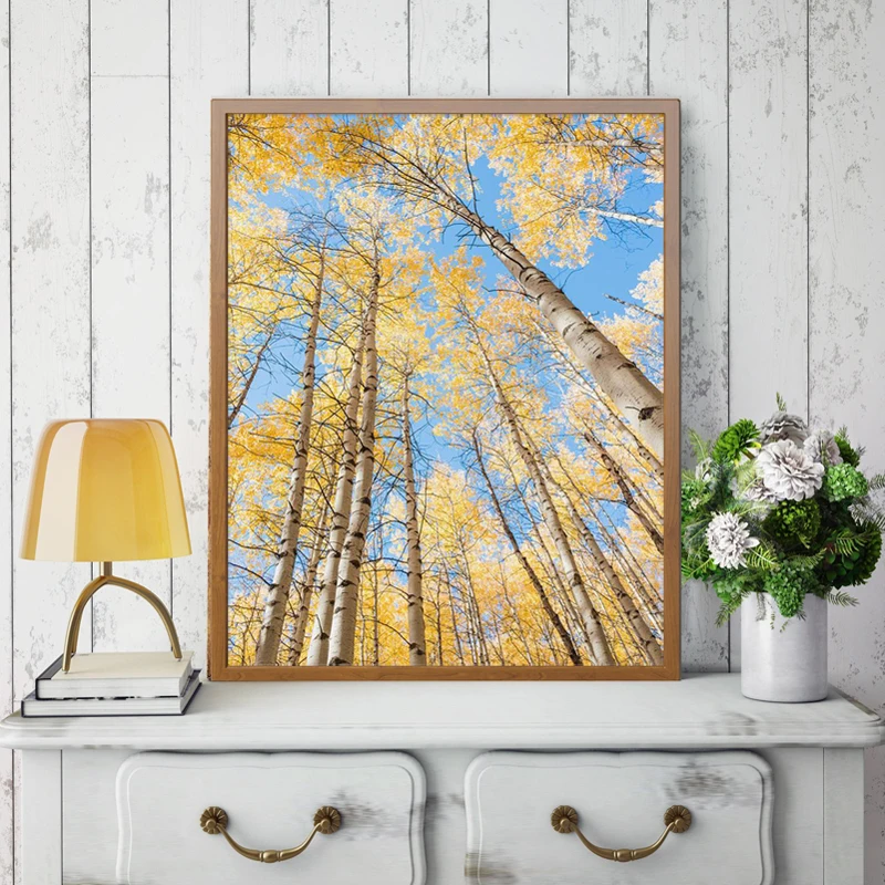 Желтый плакат с изображением березы Осенний пейзаж живопись на холсте