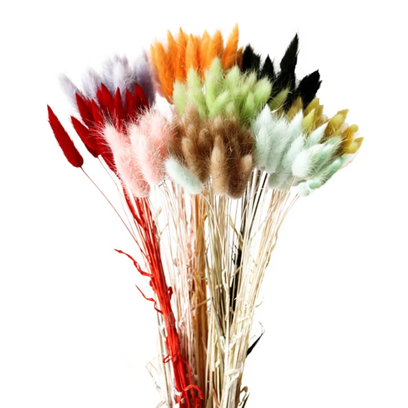 

20Pcs Rabbit Tail Grass Natural Dried Flowers For Home Decoration Flower Arrangement Long Bunches Bouquet Props