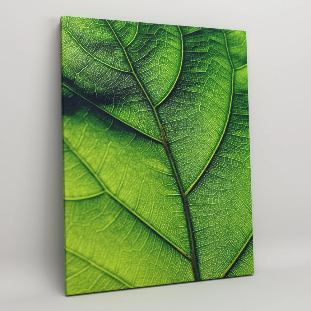 Постер на холсте декор для дома картина интерьера &quotЗеленый листок&quot растения