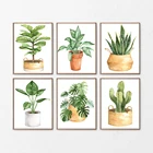 Плакаты с изображением кактусов, растений