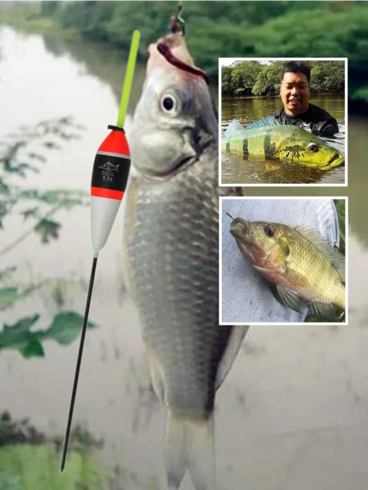 

Topline Tackle 10pcs Fishing Floats Bobbers Fishing Tackles Floating Tools Accessories for Saltwater Freshwater