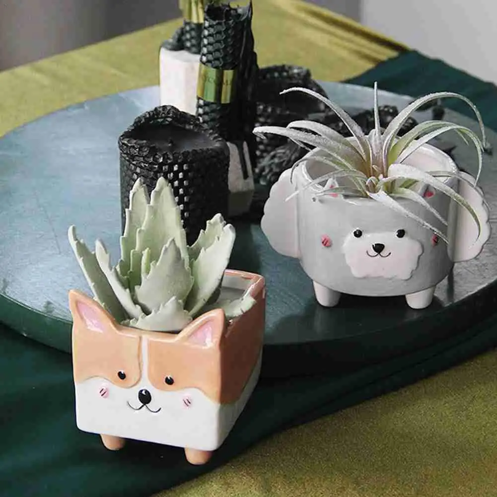 

Cartoon Animal Succulent Ceramic Flower Pot Cute Pot Hedgehog Fox Bunny Macetas Balcony Garden Flowerpot Bedroom Desktop Decor