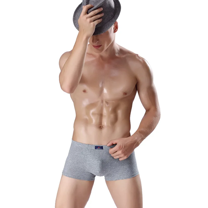 Новинка мужские трусы-боксеры из чистого хлопка Мужские Молодежные дышащие