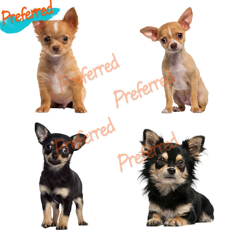 

High Quality HD Pixel Cute Chihuahuas Waterproof Dog Sticker Vinyl Auto Wrap for Hood Home Decoration Decals Car Stickers