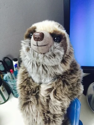 Новый трехпалый плюшевый Ленивец игрушки 30 см мягкие плюшевые куклы Тедди|sloth plush