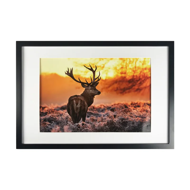 11 inch Solid Wood Picture Frames Wall Photo Frame Table Decoration Simple Licensing Certificate | Дом и сад