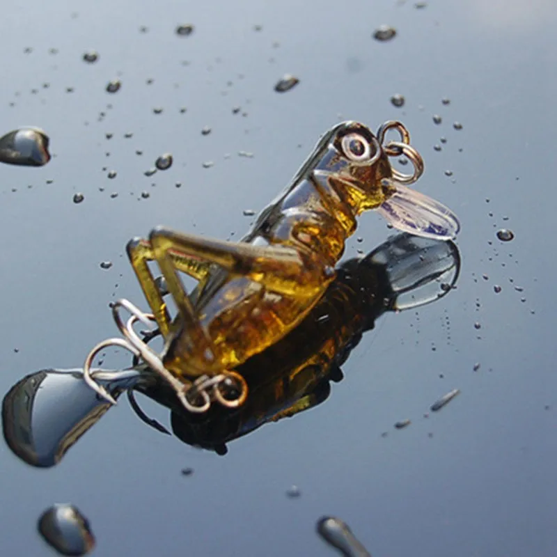 5 Pcs Luminous Fishing Lure Artificial Locust Grasshopper Lures Insect Shape Hard Bait Set In Tackle |