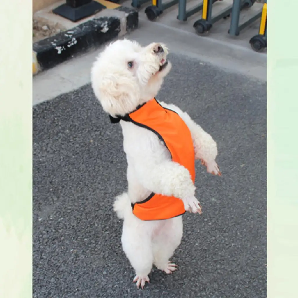 

Dog Puppy Apron Pet Outdoor Walking Vest For Small Medium Dogs Cat