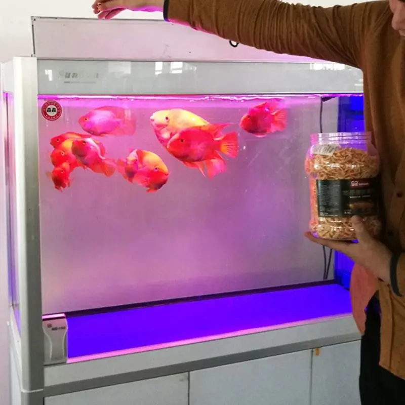 Аквариум для тропических рыбок рептилия черепаха арована питание сушеные